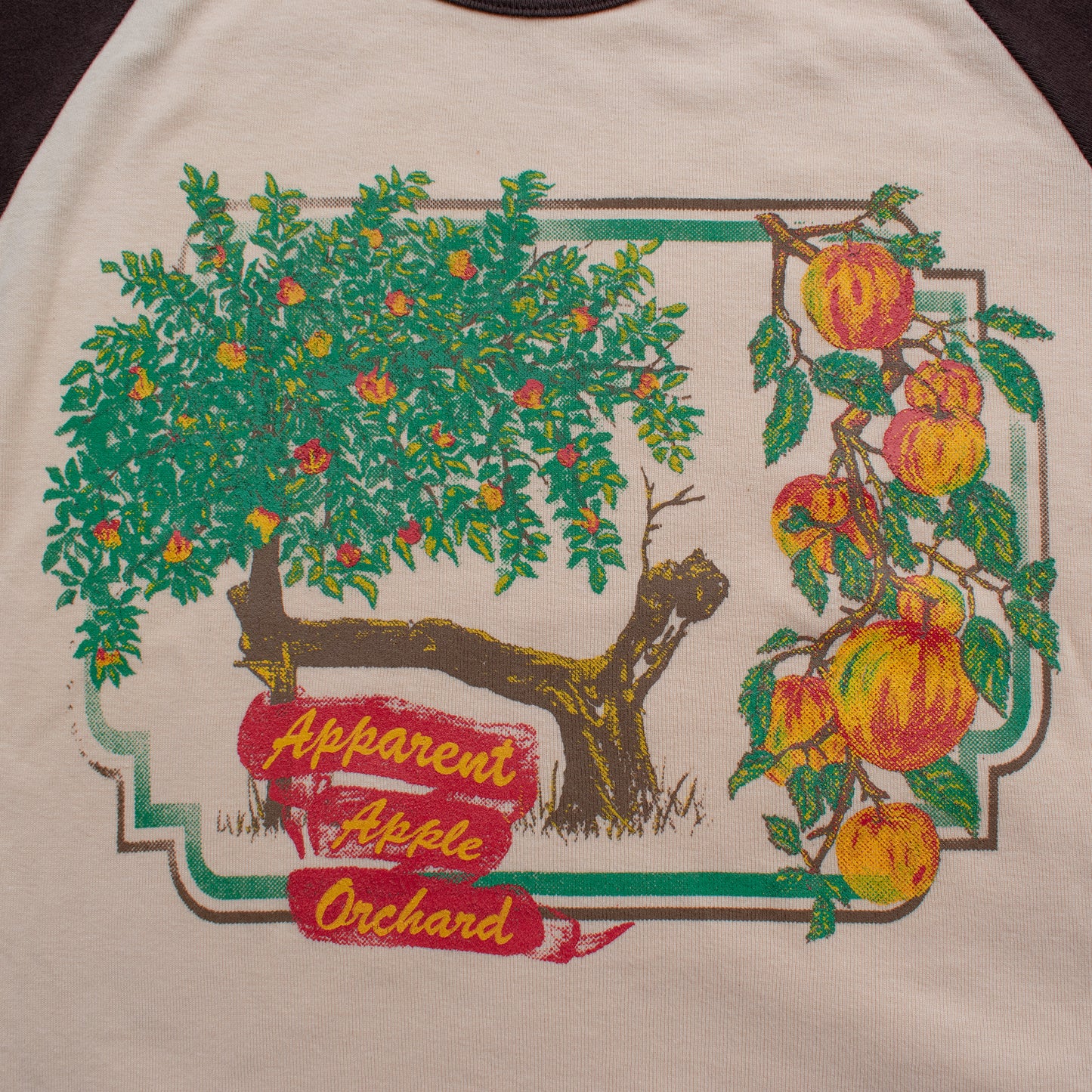 apple orchard crème brûlée raglan baby tee