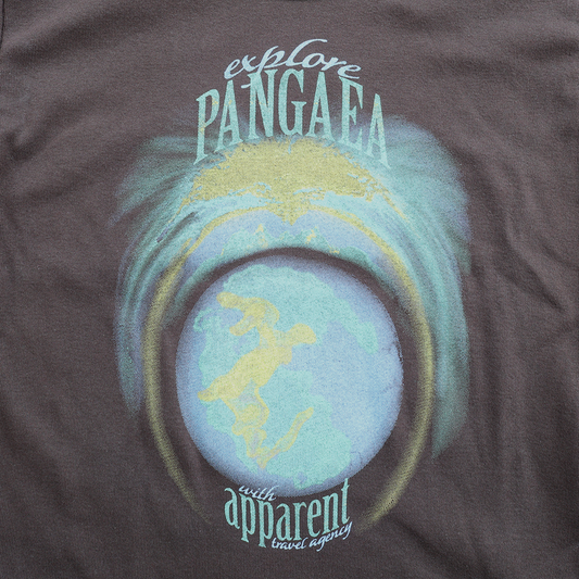 PANGAEA: Baby Tee in Brown