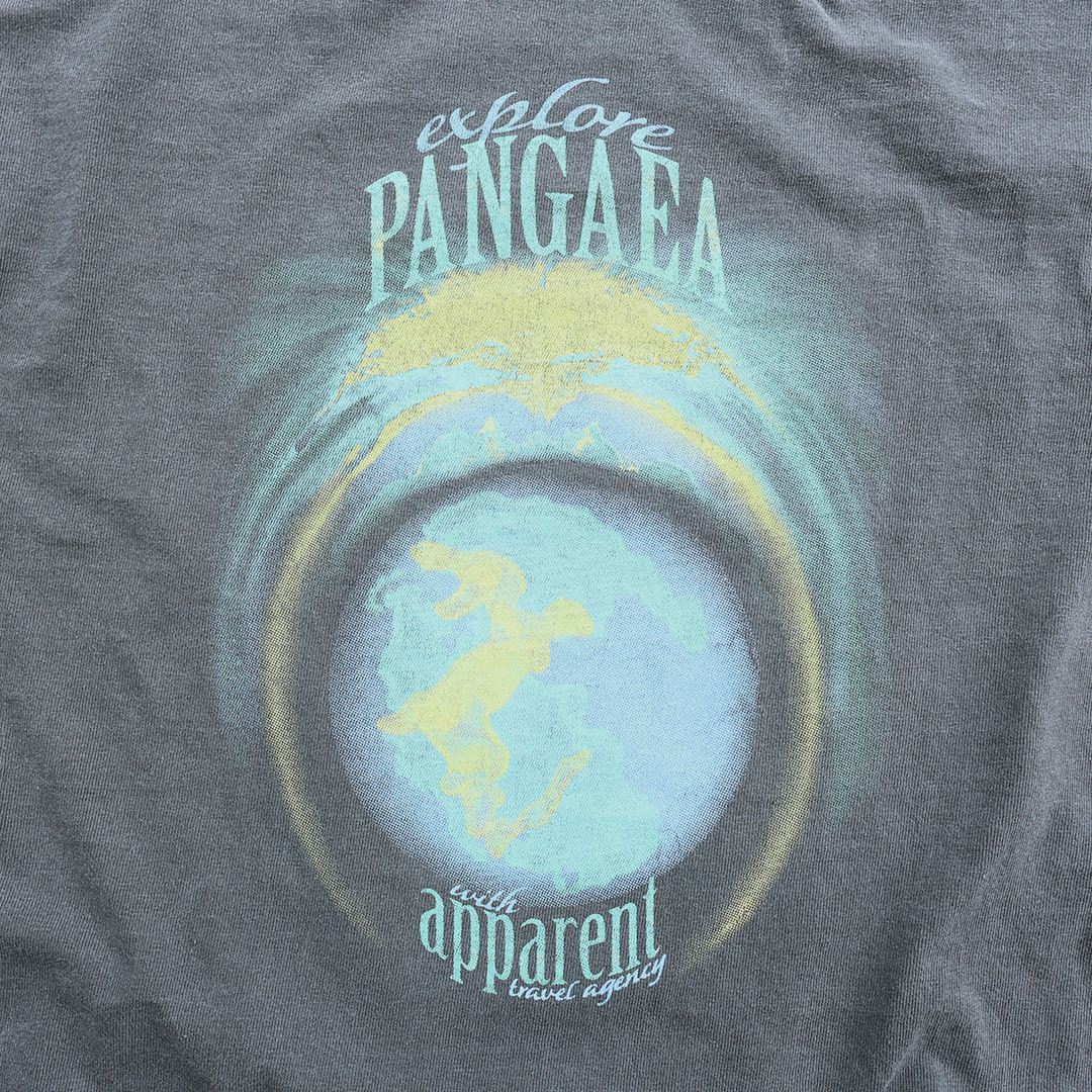 pangaea vintage tee in black