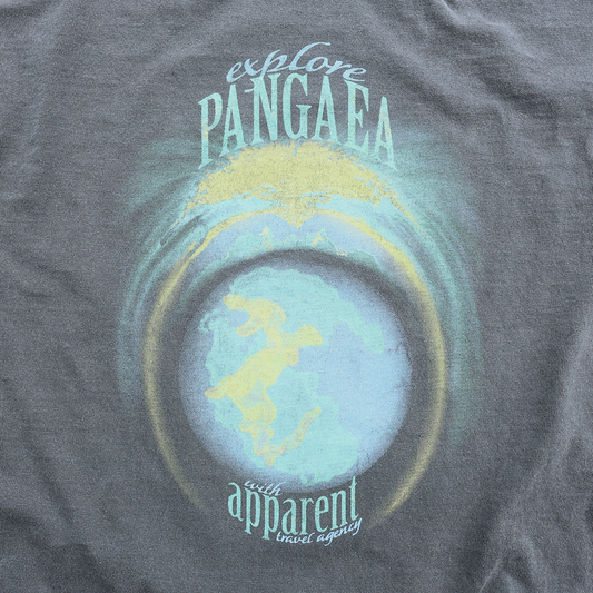 PANGAEA: Vintage Tee Shirt in Faded Black