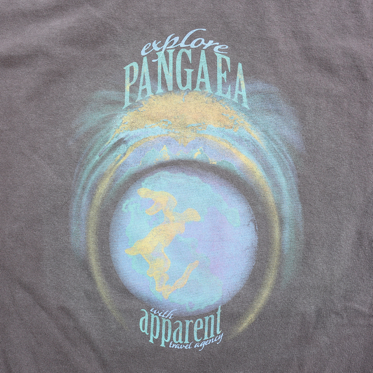 PANGAEA: Vintage Tee Shirt in Faded Brown