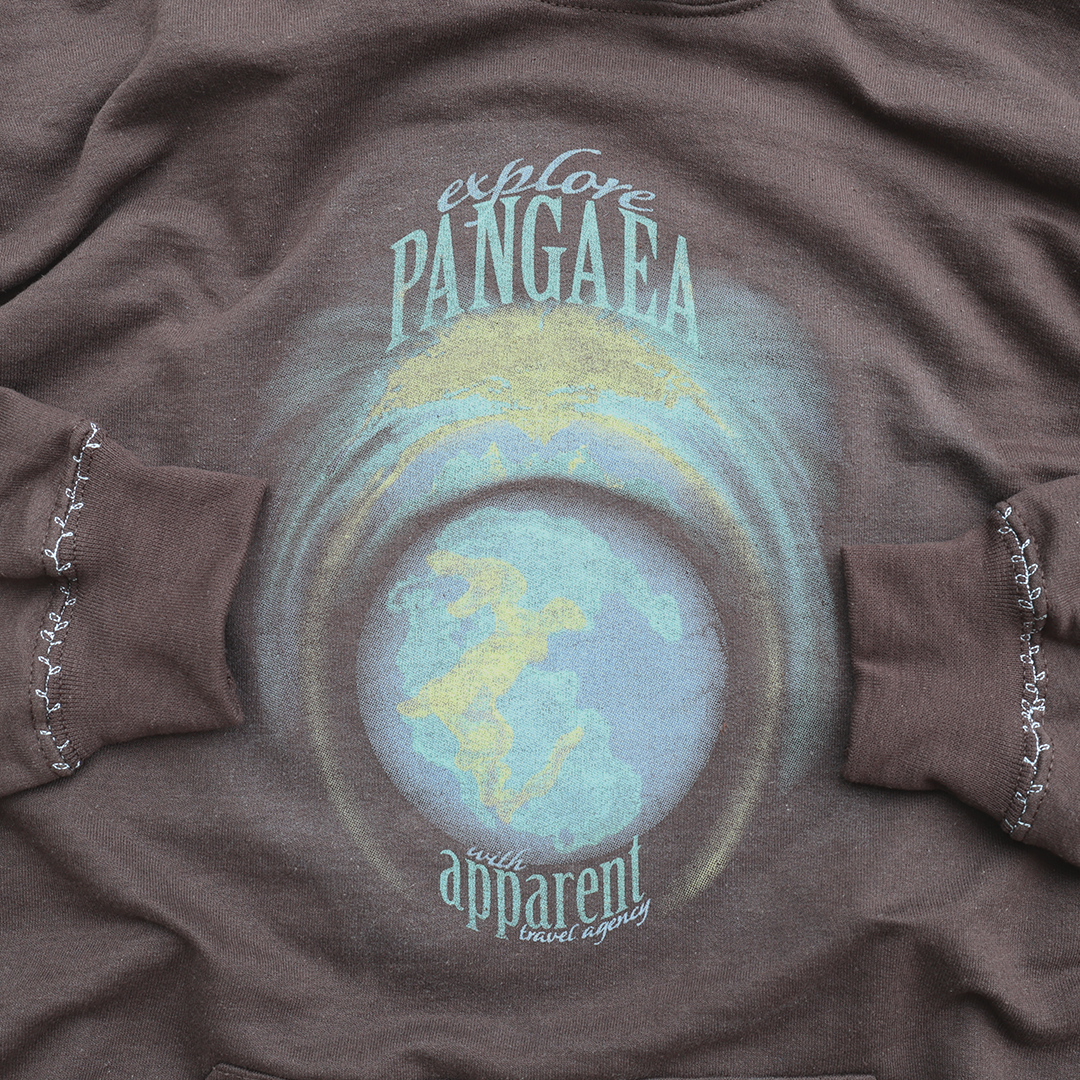 pangaea brown hoodie