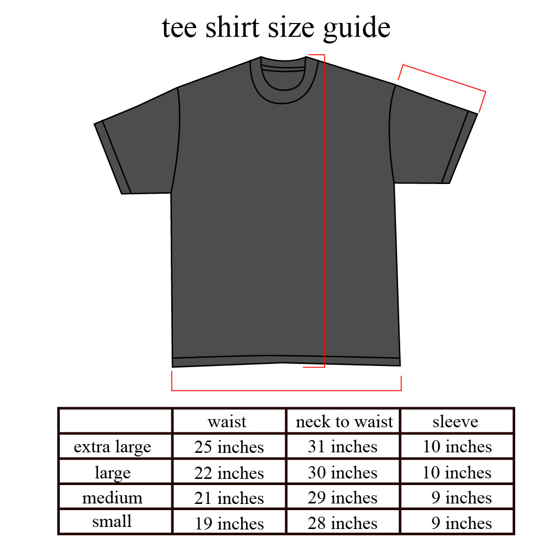 SOLAR: Faded Tee Shirt in Vintage Black