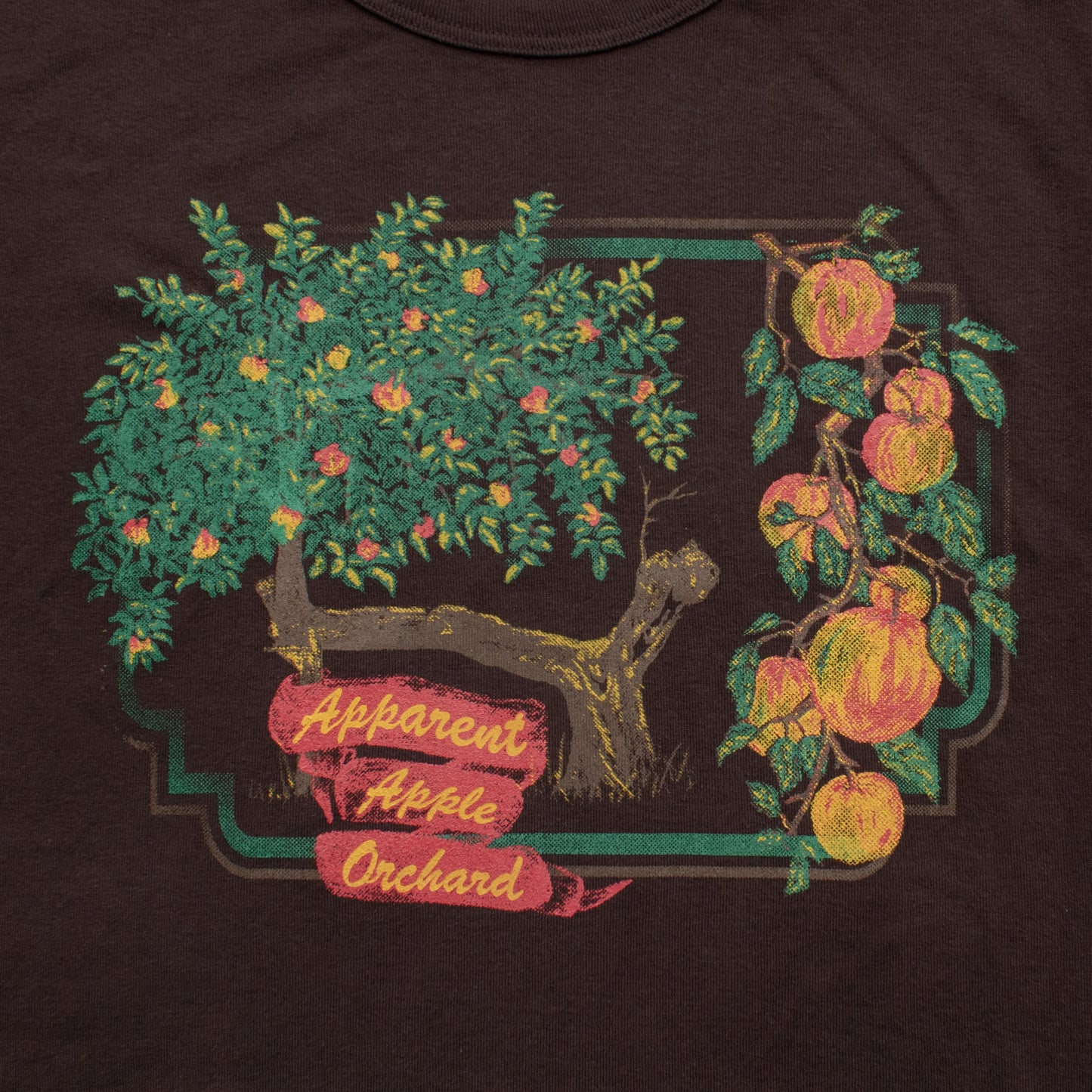 apple orchard baby tee in coffee