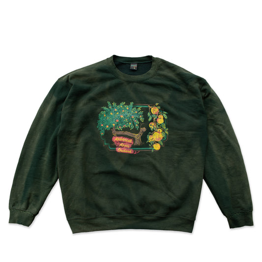 apple orchard crewneck in avocado