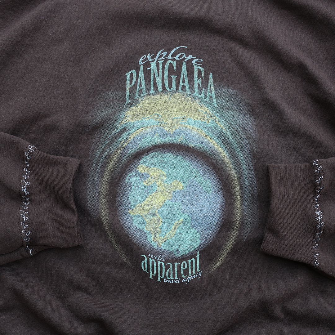 pangaea crewneck in brown