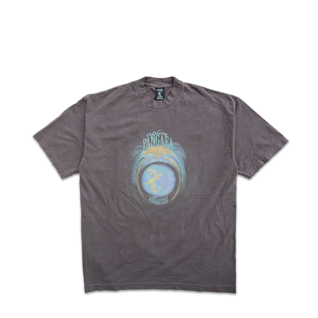 pangaea vintage tee in brown