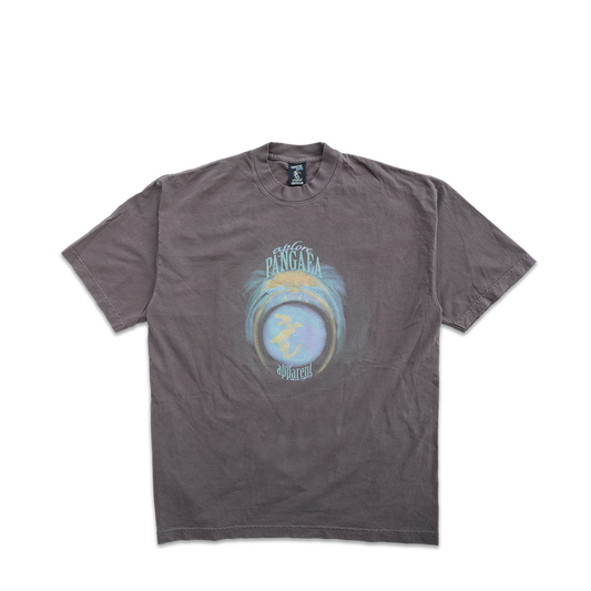 pangaea vintage tee in brown