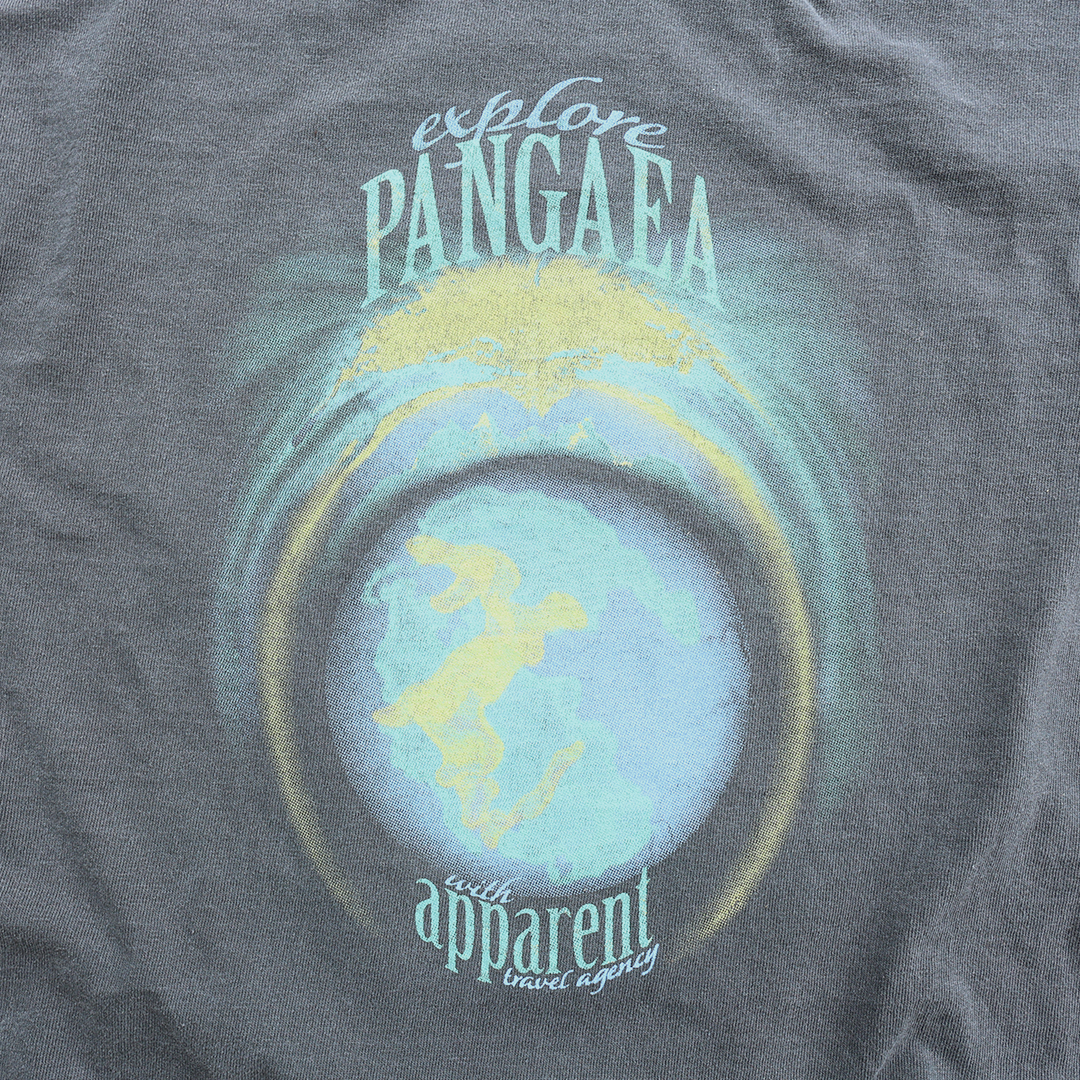 pangaea vintage tee in black koi