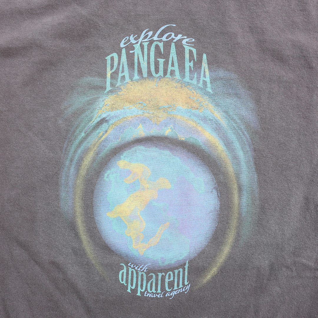 pangaea vintage tee in brown