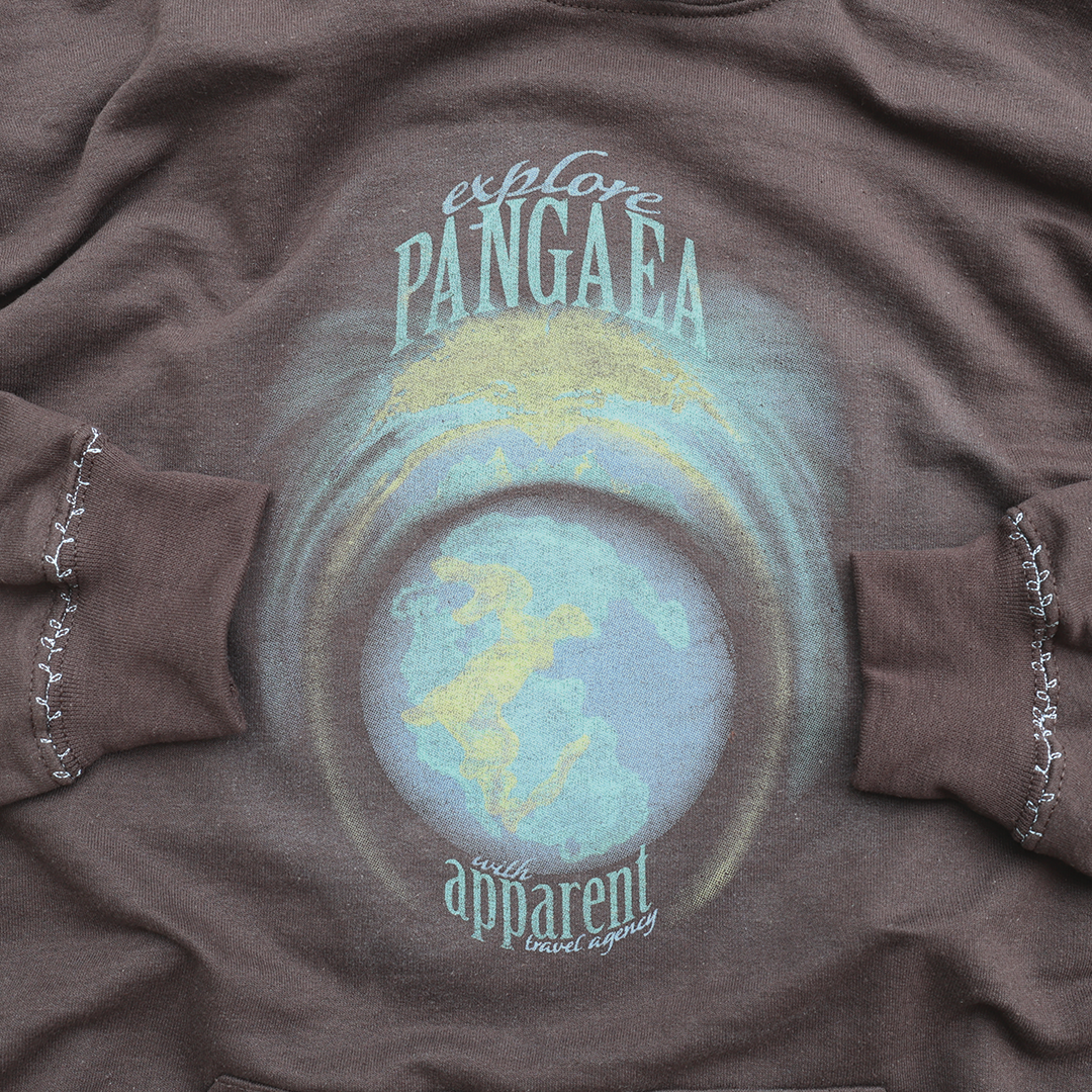 pangaea hoodie in brown