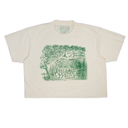 Postcards: Cropped Tee in Parchment White